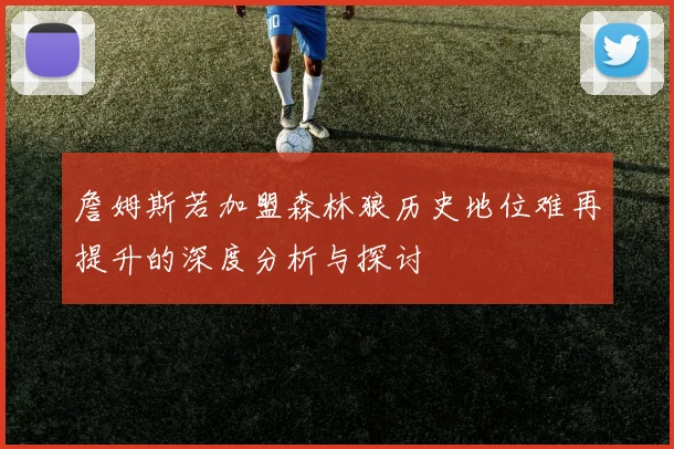 詹姆斯若加盟森林狼历史地位难再提升的深度分析与探讨