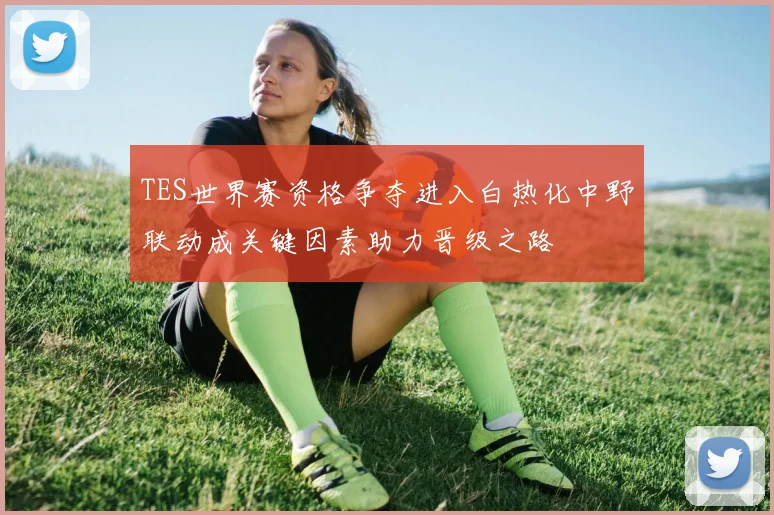 TES世界赛资格争夺进入白热化中野联动成关键因素助力晋级之路